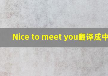 Nice to meet you翻译成中文